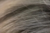 bodydetails_01.jpg