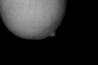 bodydetails_05.jpg