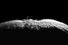 bodydetails_09.jpg