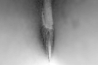 bodydetails_18.jpg