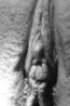bodydetails_22.jpg