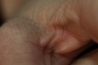 bodydetails_25.jpg