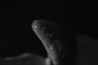 bodydetails_31.jpg