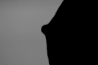 bodydetails_32.jpg